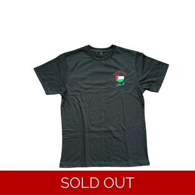 Falestine Palestine flag t-shirt Black